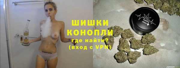 дурь Карпинск