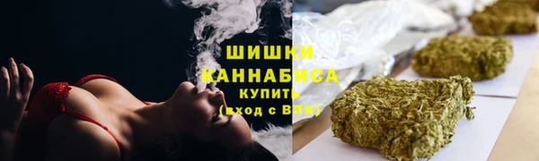 дурь Карпинск