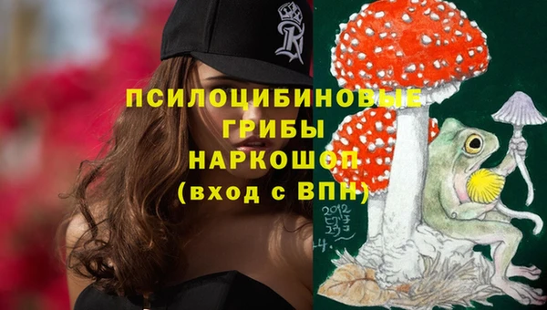 дурь Карпинск