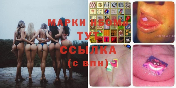 стафф Киреевск