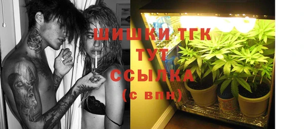 дурь Карпинск